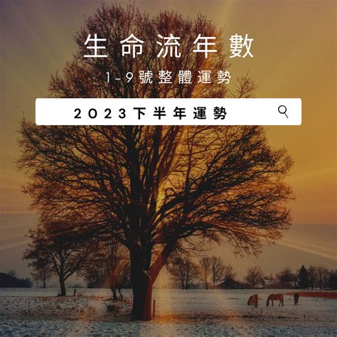 2023生命靈數流年5|【2023生命靈數流年5】2023 生命靈數流年 5 號：桃花運爆棚，。